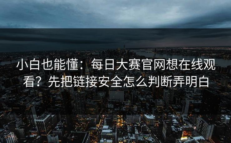 小白也能懂：每日大赛官网想在线观看？先把链接安全怎么判断弄明白